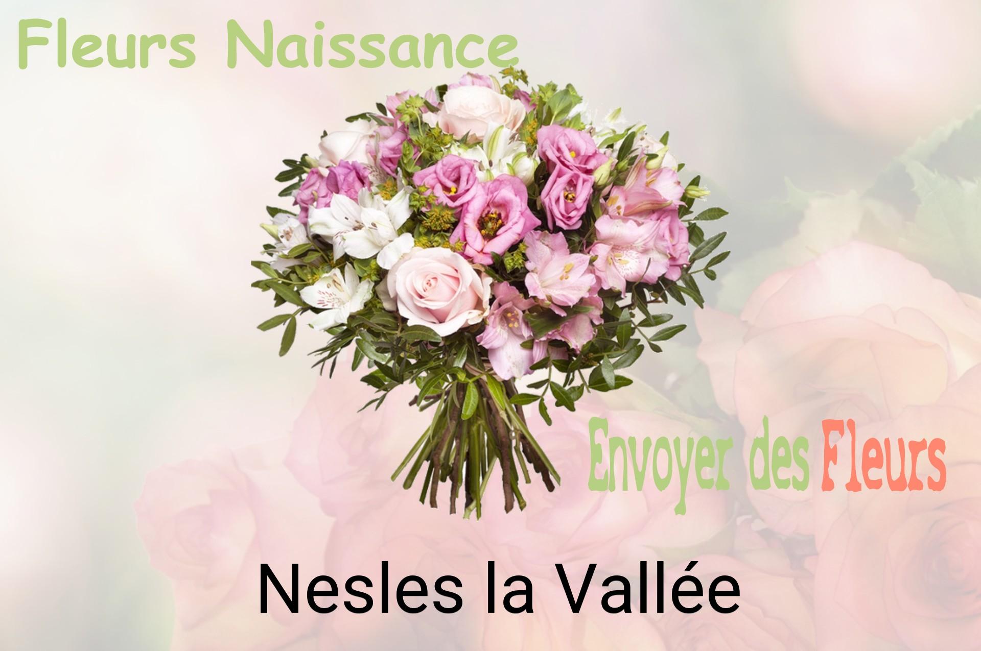 Bouquet de fleurs de naissance livré à Nesles-la-Vallée